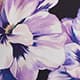 Vivid Violet